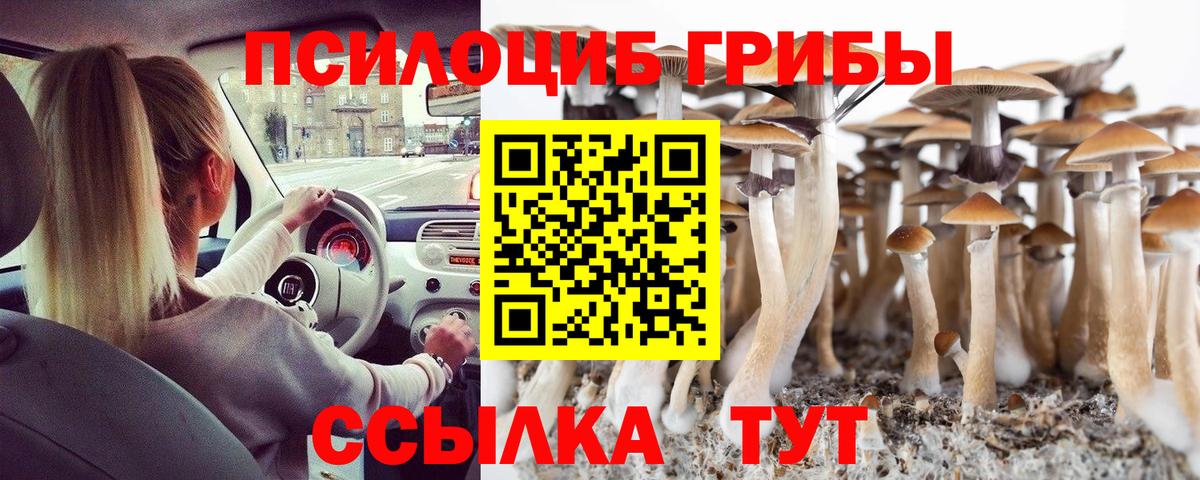 Галлюциногенные грибы Magic Shrooms Зима