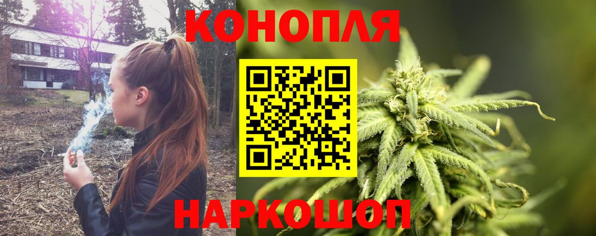 Канабис планчик  Вход с VPN  Зима  Канабис индика 